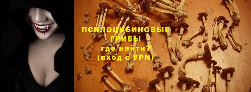 Псилоцибиновые грибы Magic Shrooms  хочу   Спасск-Рязанский 